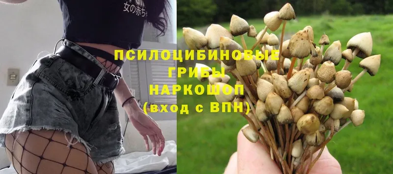 Псилоцибиновые грибы Magic Shrooms  Анадырь 